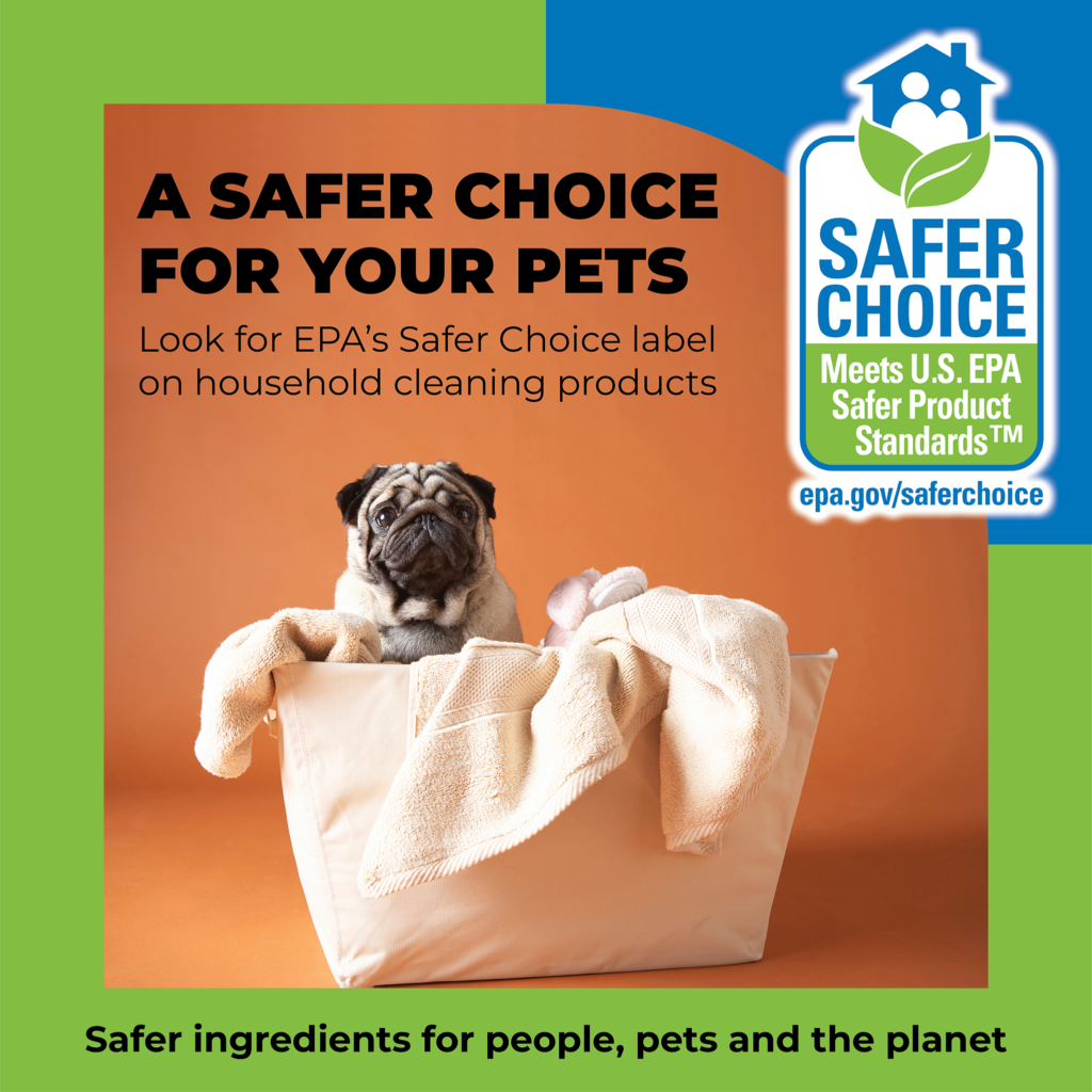 Safer Pets